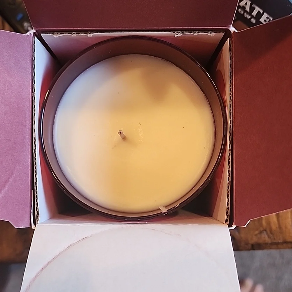 NIB Williams Sonoma Single Wick Candle Winter Berry